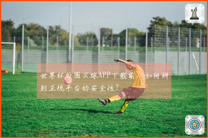 世界杯外围买球APP下载前，如何辨别正规平台的安全性？