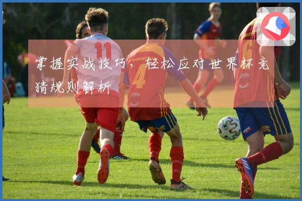 掌握实战技巧，轻松应对世界杯竞猜规则解析