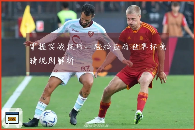 掌握实战技巧，轻松应对世界杯竞猜规则解析