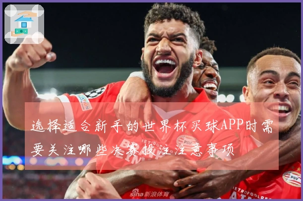 选择适合新手的世界杯买球APP时需要关注哪些决赛投注注意事项