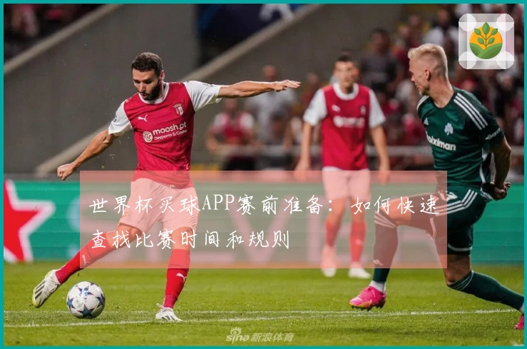 世界杯买球APP赛前准备：如何快速查找比赛时间和规则