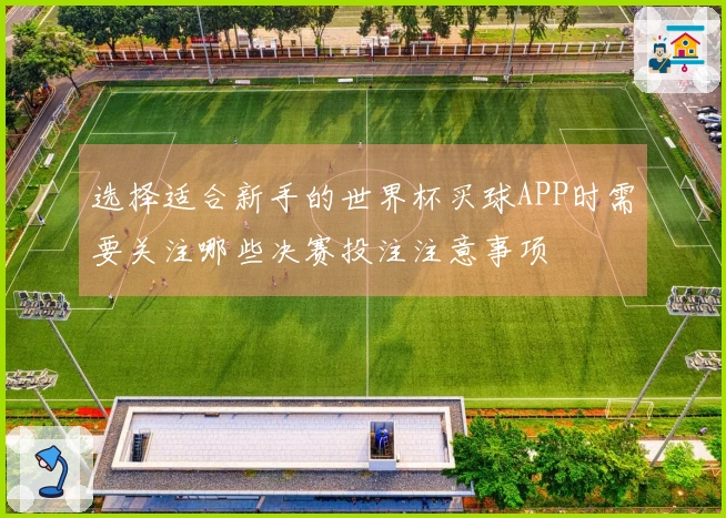 选择适合新手的世界杯买球APP时需要关注哪些决赛投注注意事项