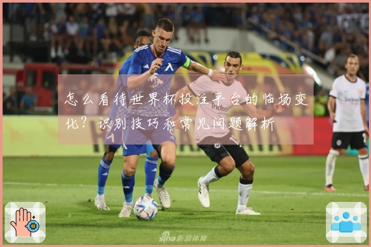 怎么看待世界杯投注平台的临场变化？识别技巧和常见问题解析