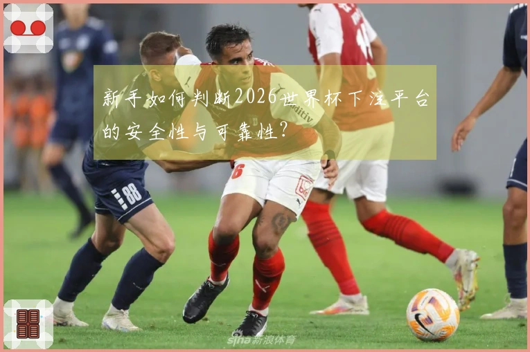 新手如何判断2026世界杯下注平台的安全性与可靠性？