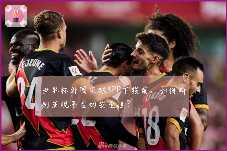 世界杯外围买球APP下载前，如何辨别正规平台的安全性？