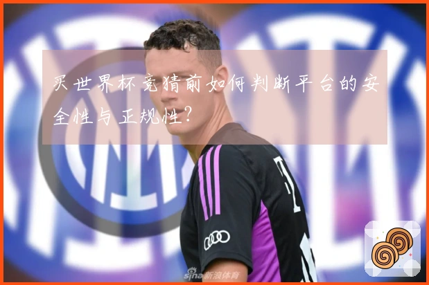 买世界杯竞猜前如何判断平台的安全性与正规性？
