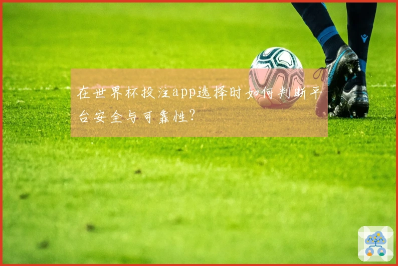 在世界杯投注app选择时如何判断平台安全与可靠性？
