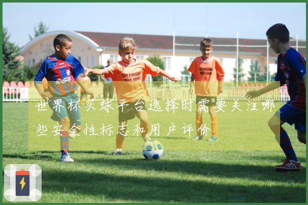 世界杯买球平台选择时需要关注哪些安全性标志和用户评价