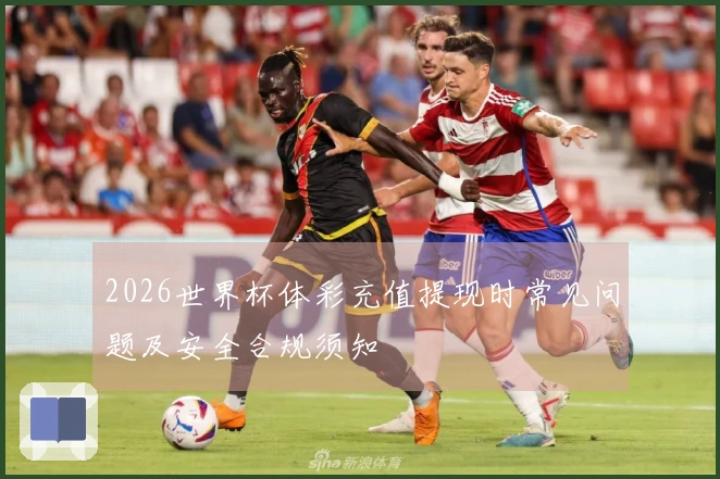 2026世界杯体彩充值提现时常见问题及安全合规须知