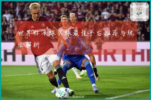 世界杯滚球买球最佳平台推荐与玩法解析