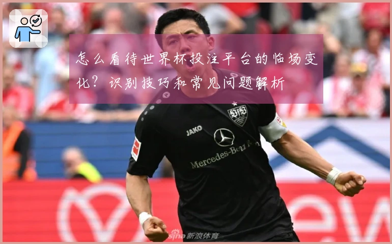 怎么看待世界杯投注平台的临场变化？识别技巧和常见问题解析