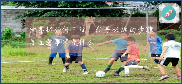 世界杯如何下注？新手必读的步骤与注意事项是什么