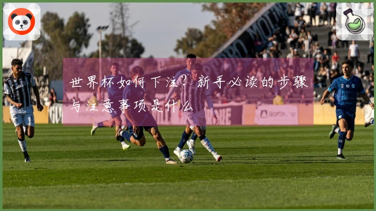 世界杯如何下注？新手必读的步骤与注意事项是什么