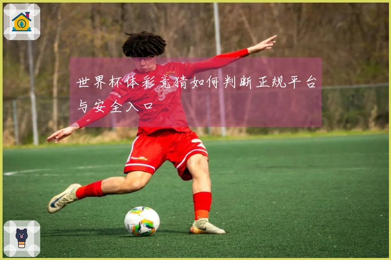 世界杯体彩竞猜如何判断正规平台与安全入口