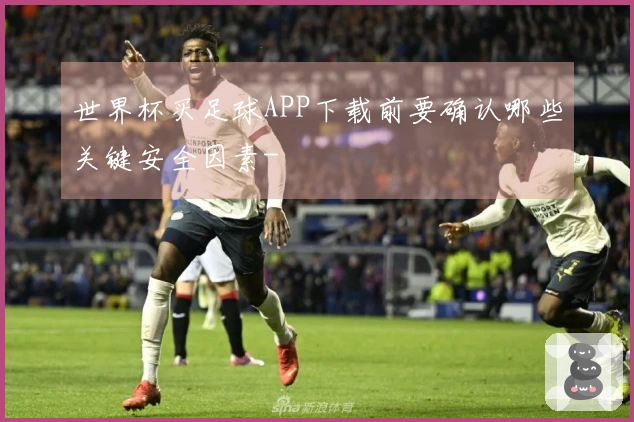 世界杯买足球APP下载前要确认哪些关键安全因素-