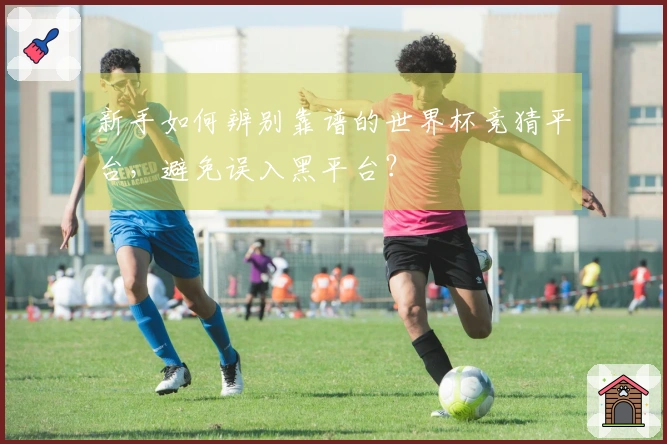 新手如何辨别靠谱的世界杯竞猜平台，避免误入黑平台？